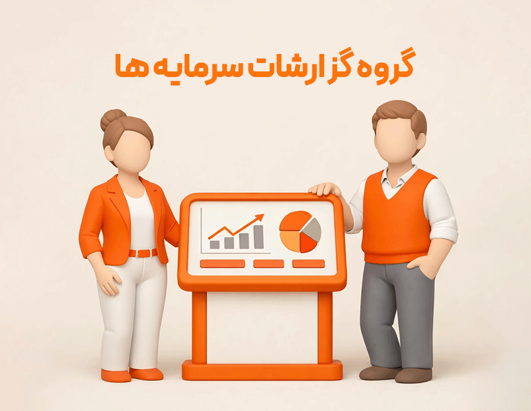 گروه گزارشات سرمایه ها (حسابداری زعفران)